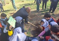 کاشت نهال توسط شهردار و مسئولین در روز درختکاری